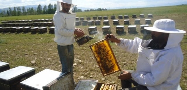 Muş Haber Fotoğrafı