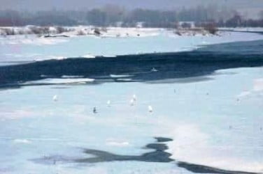 Baharın müjdecisi leylekler 2 metre karla karşılaştı