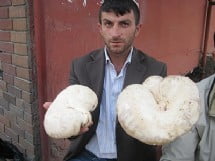 Muş Haber Fotoğrafı