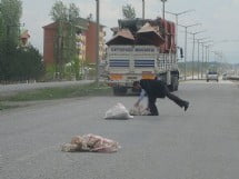Muş Haber Fotoğrafı