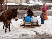 Muş Haber Fotoğrafı