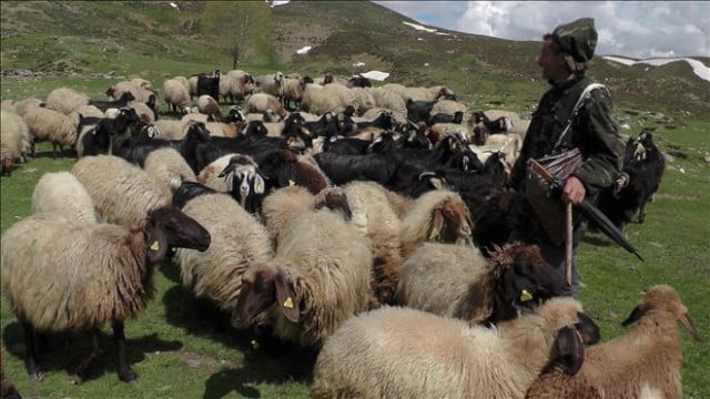 Muş Haber Fotoğrafı