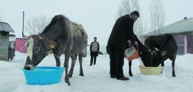 Muş Haber Fotoğrafı