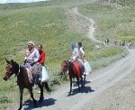 Muş Haber Fotoğrafı