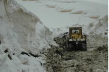Muş Haber Fotoğrafı