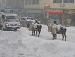 Yine kar yağışı. Yollar kapalı ve okullar tatil…
