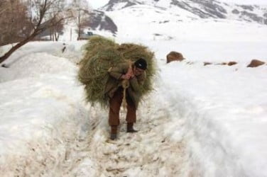 Muş Haber Fotoğrafı