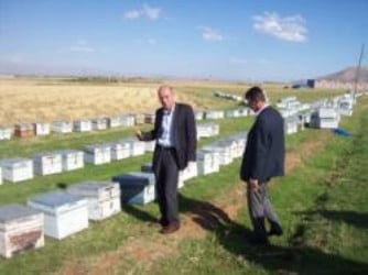 Protesto için ballarını döktüler