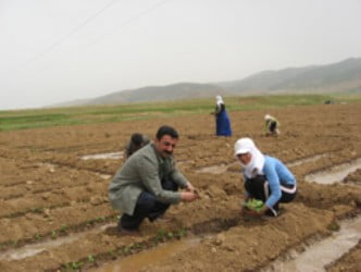 Solgun çalışmaları değerlendirdi