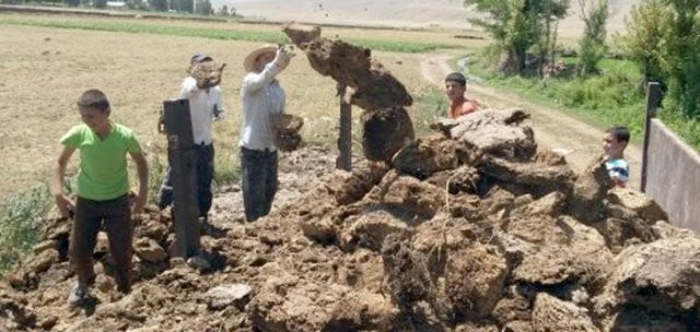 Muş Haber Fotoğrafı