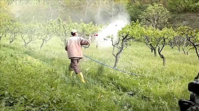 Muş Haber Fotoğrafı