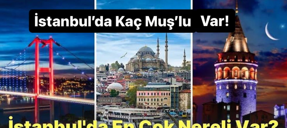 İstanbul’da yaşayan Muşlu sayısı