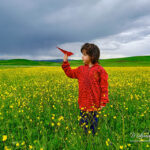Sarı çiçek tarlasında oynayan çocuk