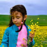 Sarı çiçek tarlasında oynayan çocuk