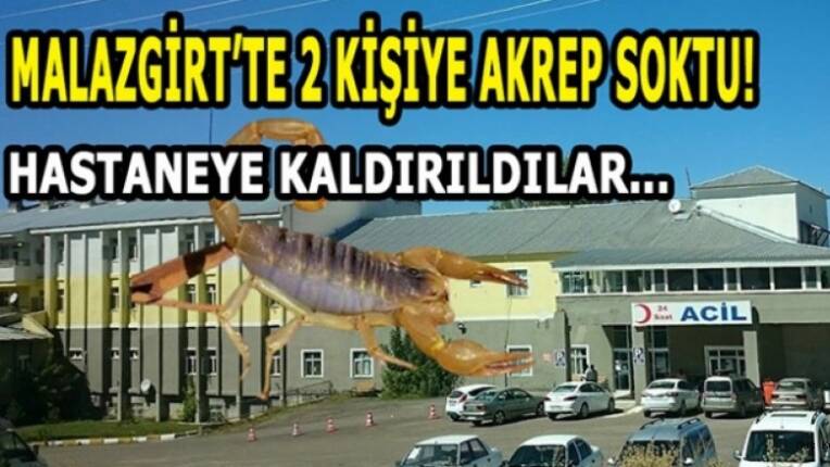 Muş Haber Fotoğrafı
