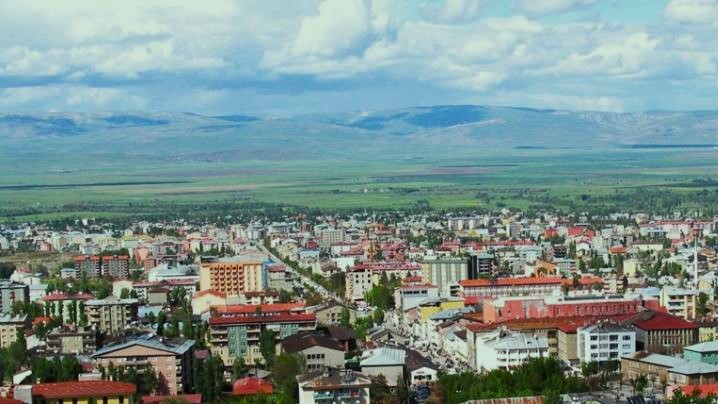 Muş’a kayıtlı kaç araç var?