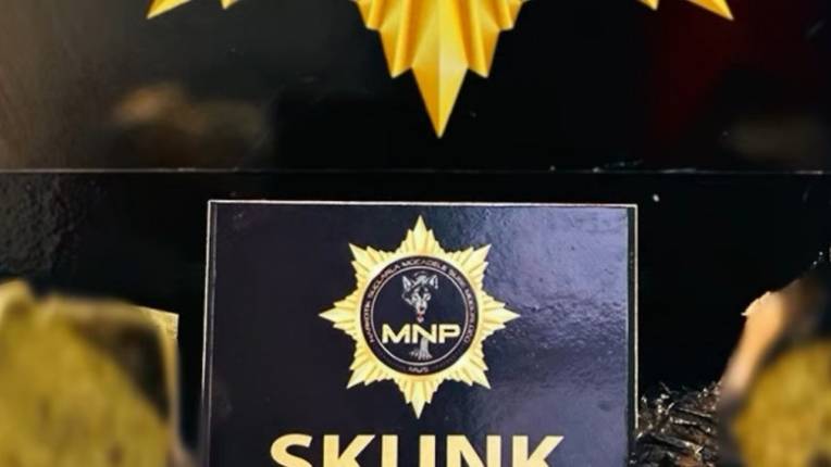 Muş’ta Uyuşturucuyla Mücadele Sürüyor: 1370 Gram Skunk Ele Geçirildi