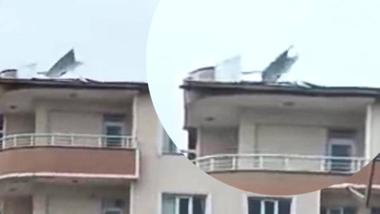 Muş Haber Fotoğrafı