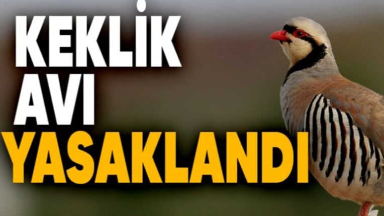 Muş Haber Fotoğrafı
