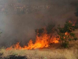 Bayrak Tepe’de Korkutan Yangın: 3 Saatte Kontrol Altına Alındı