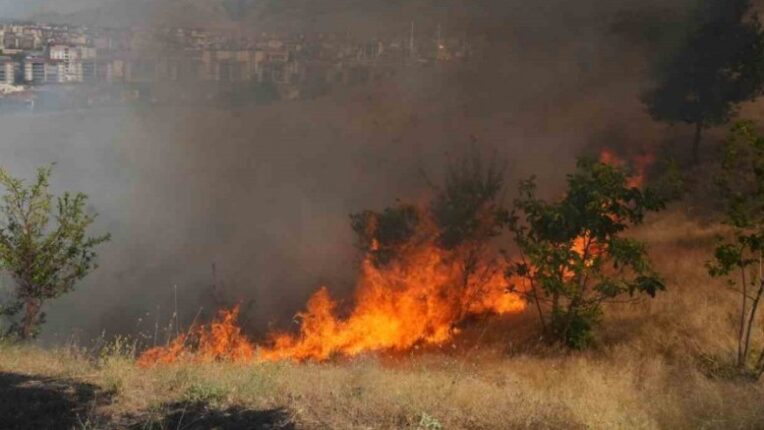 Muş Haber Fotoğrafı