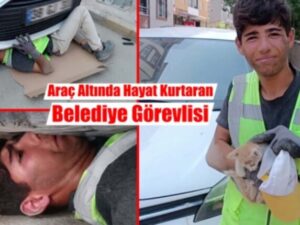 Motor Bölümüne Sıkışan Yavru Kediyi Kurtardı
