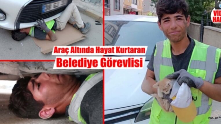 Motor Bölümüne Sıkışan Yavru Kediyi Kurtardı