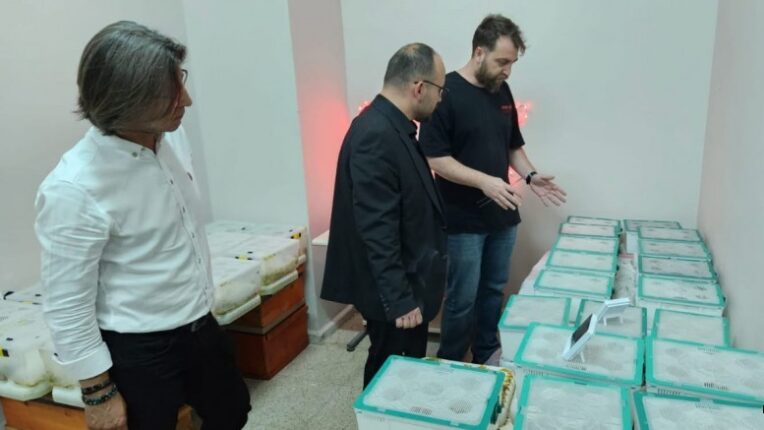 Muş Alparslan Üniversitesi’nden Bombus Arısı Hamlesi