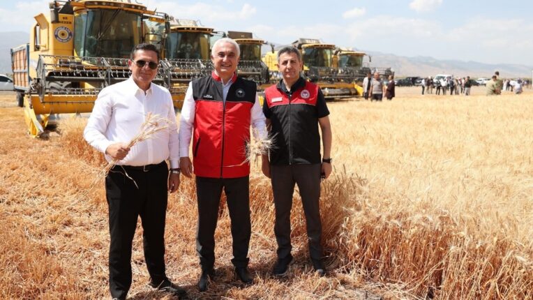 Muş Ovası’nda Hasat Bereketi: 10 Milyar TL Gelir Bekleniyor