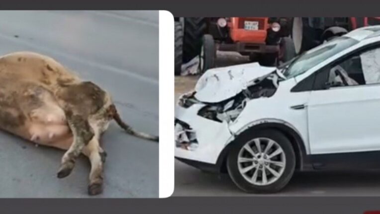 Muş Haber Fotoğrafı