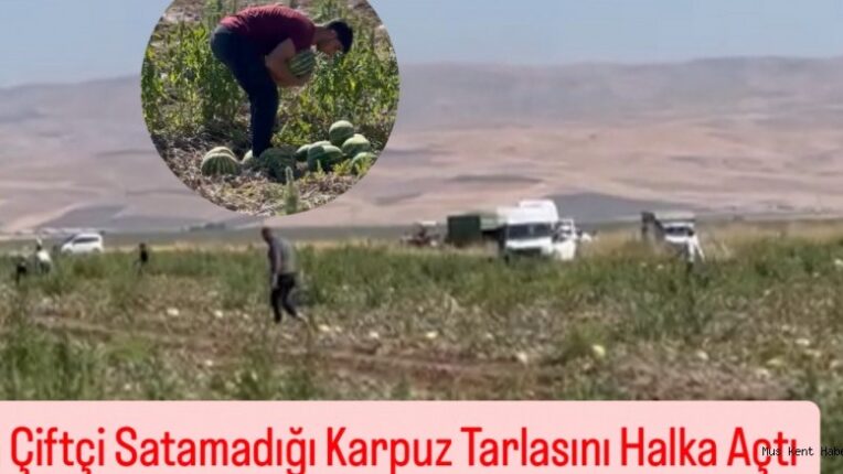 Muş’ta Çiftçi Satamadığı Karpuz Tarlasını Halka Açtı