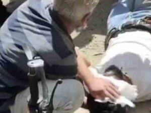 Muş’ta Otomobil ile Motosiklet Çarpıştı: 2 Yaralı