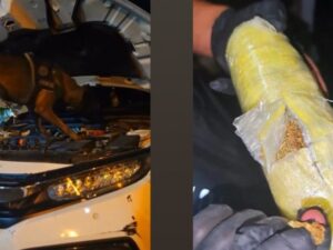 Muş’ta Uyuşturucu Operasyonu: 910 Gram Skunk Ele Geçirildi
