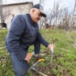 Muş’ta Meyve Ağaçlarında Aşılama Dönemi Başladı